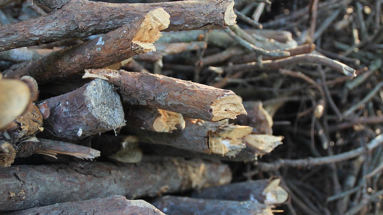 How to Build a DIY Firewood Shelter for Your Yard